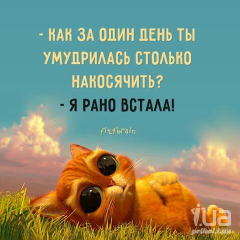 🎭ВИДЕО 🎭ПРИКОЛЫ 🎭АНЕКДОТЫ