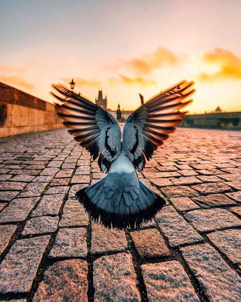 Знакомства Вечеринки 40+