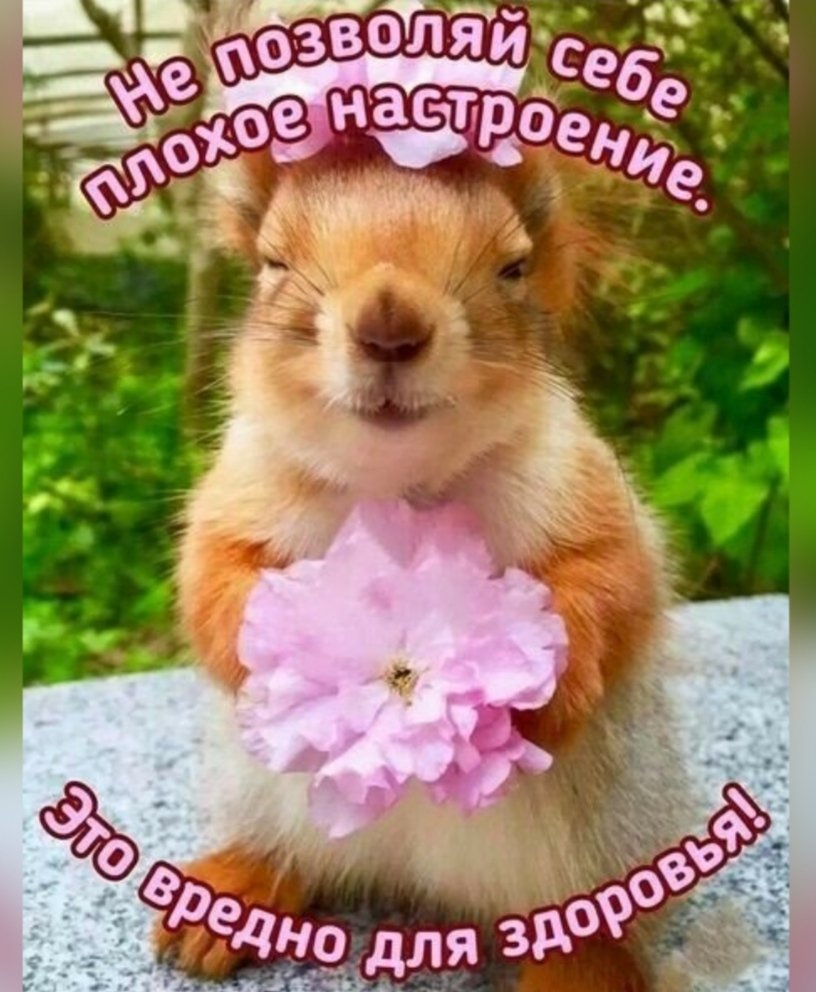 Океан Наслаждения