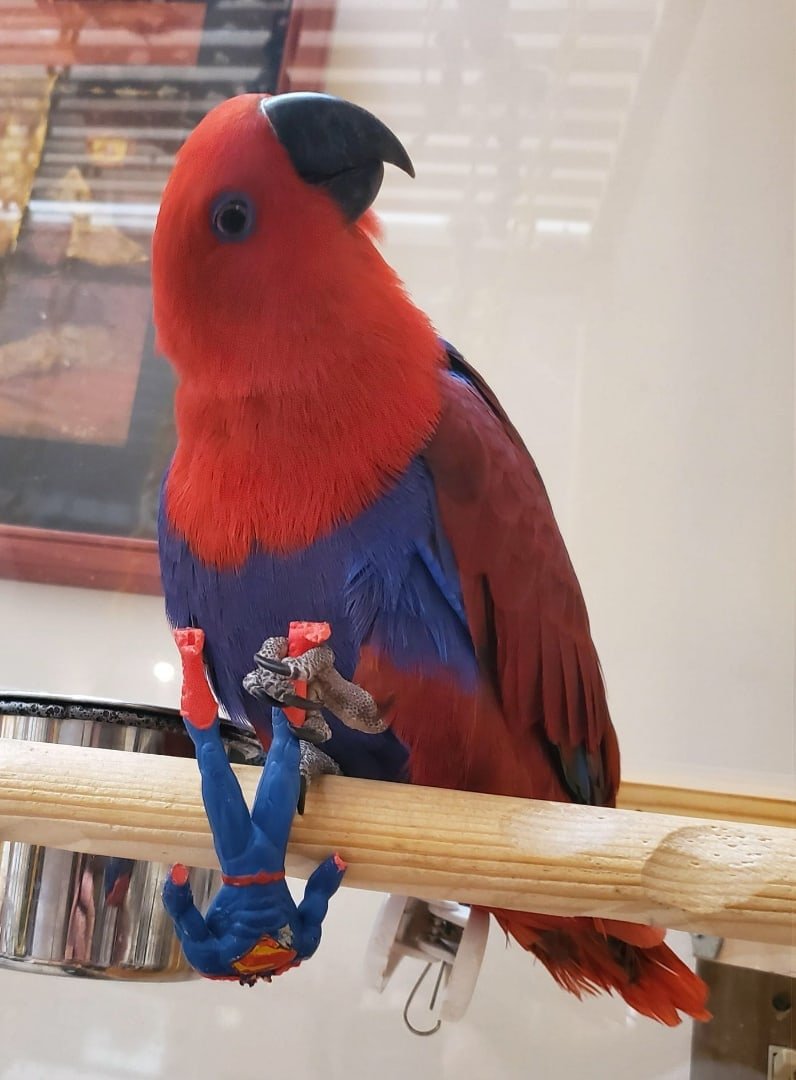 Те самые видео