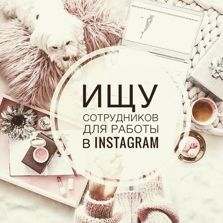 Информация о работе