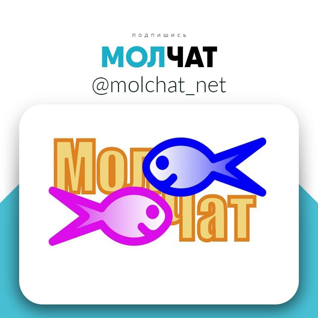 МолЧат