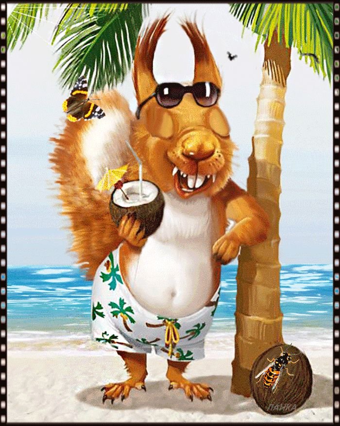 🤣 ЖмИ На Юмор🙈