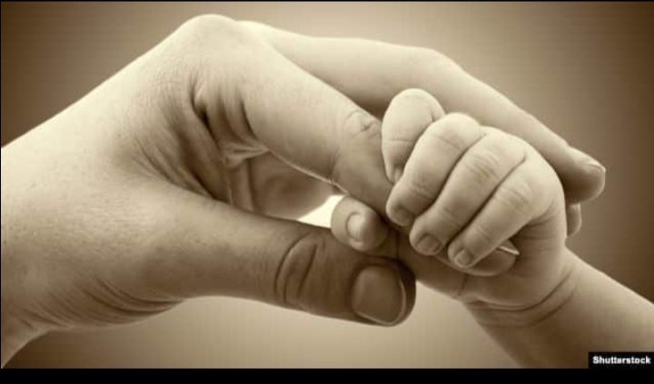 АН Соц Пособия Одесса и Украина