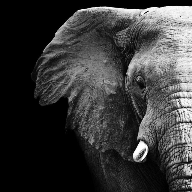 RA-JA | Цитаты