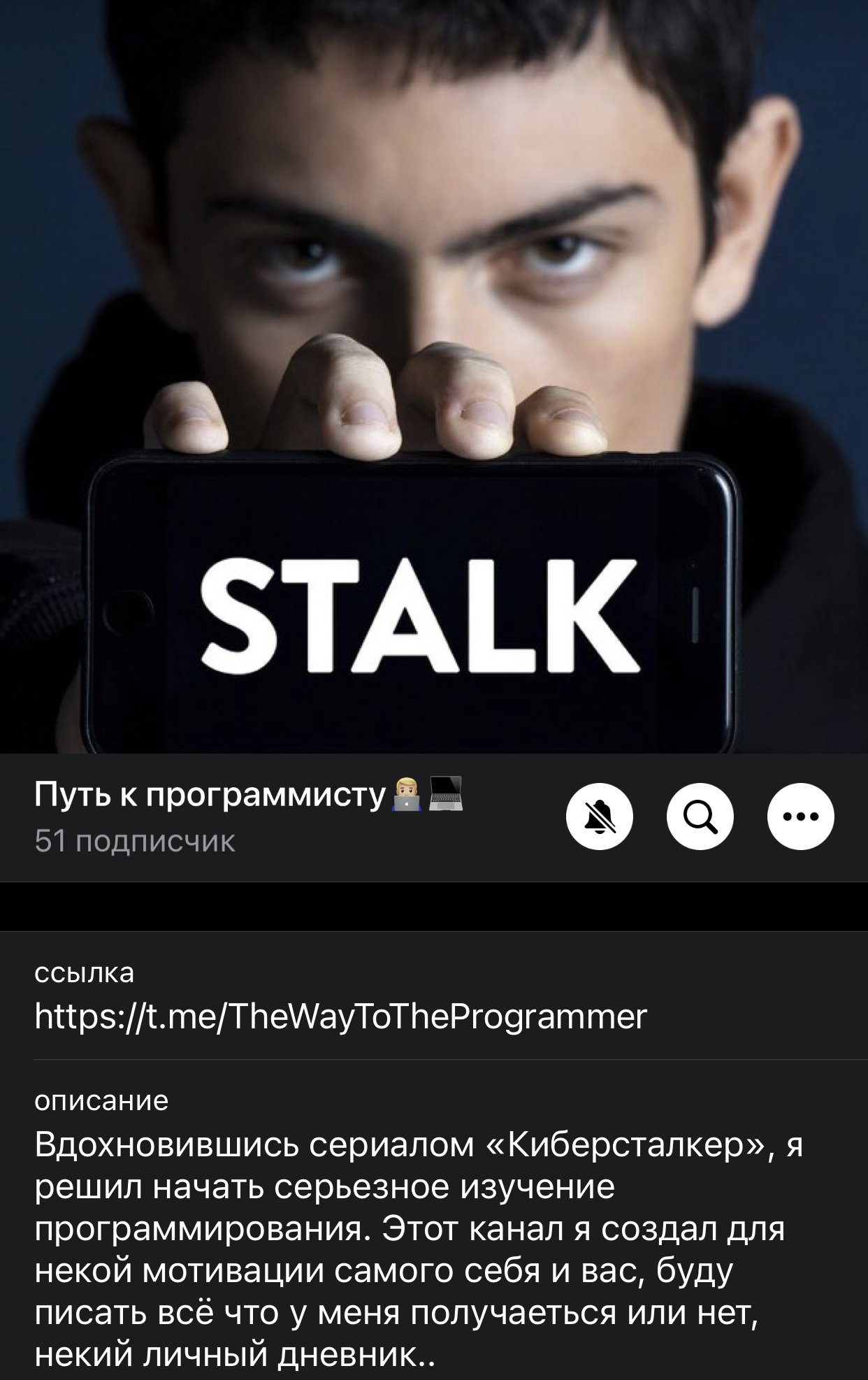 Путь к программисту