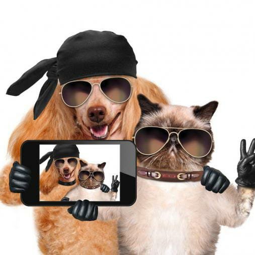 👍🏻ВИДЕО😁👍🏻😌МУЗЫКА🤣ЮМОР😂✊🏻