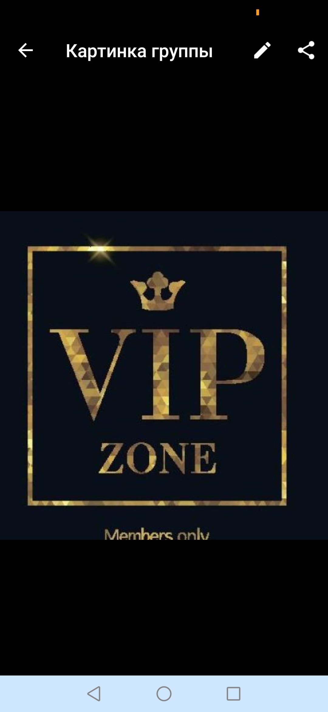 VIP ZONE