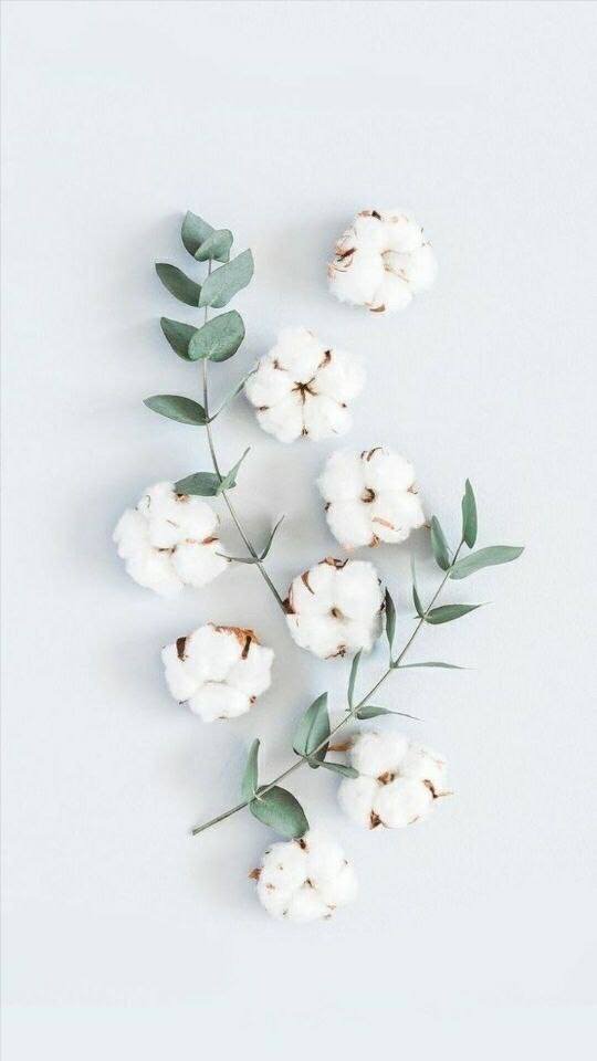 Купи, продай, обмен Ижевск