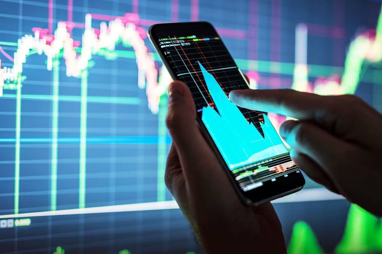 Дневник биржевого спекулянта