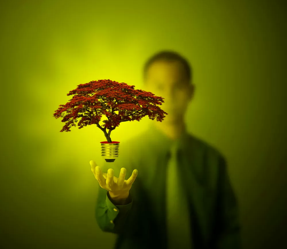 Работа в эко компании