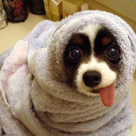 💯%😁😂ПОЗИТИВА🤣👍🏻💿🎥