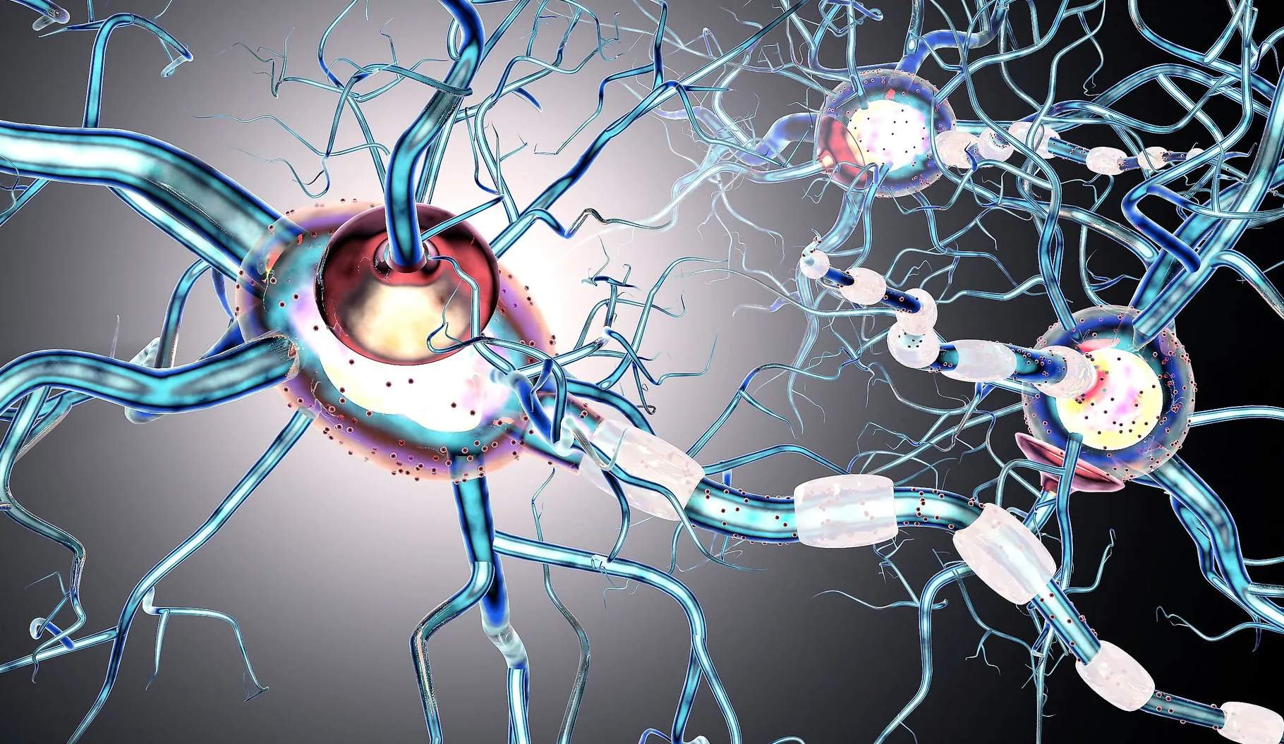 Паркинсон. Благовещенск