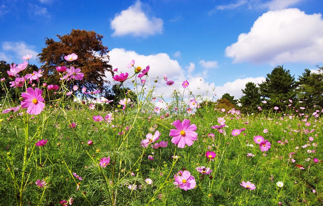 Дружелюбный чатик. Самара и Тольятти