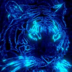 Лаборатория друзей ХБК