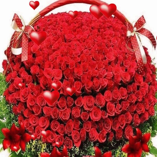 🇷🇺"АЛАЯ ЗАРЯ"🇷🇺