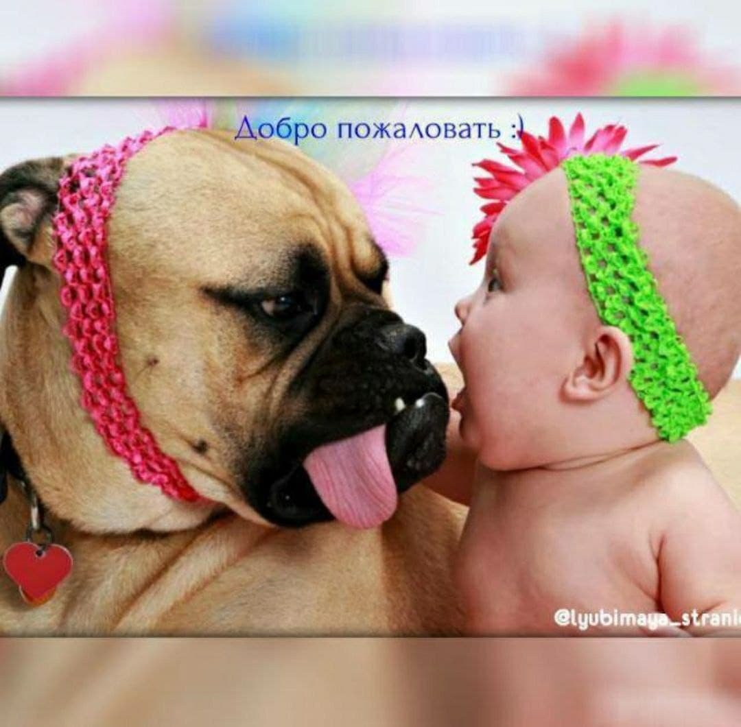 Любимая страничка