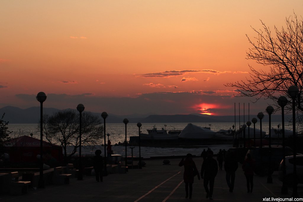 🌅общение🌅