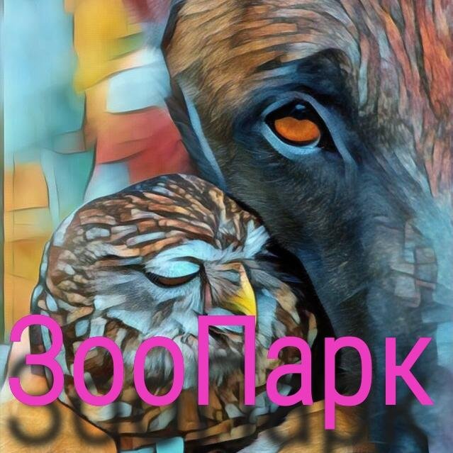 🐼❤️🦊 ЗООПАРК 🐼❤️🦊