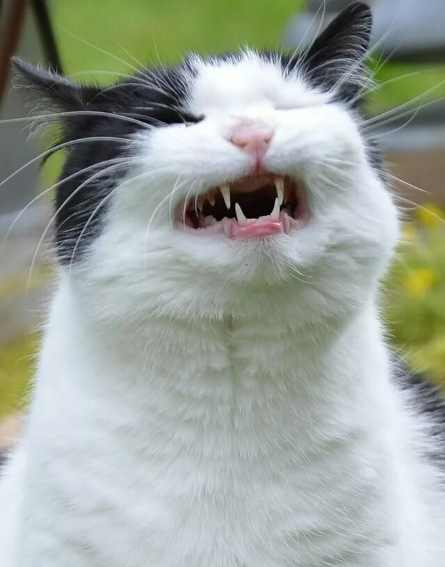 Анекдоты. Поржать от души