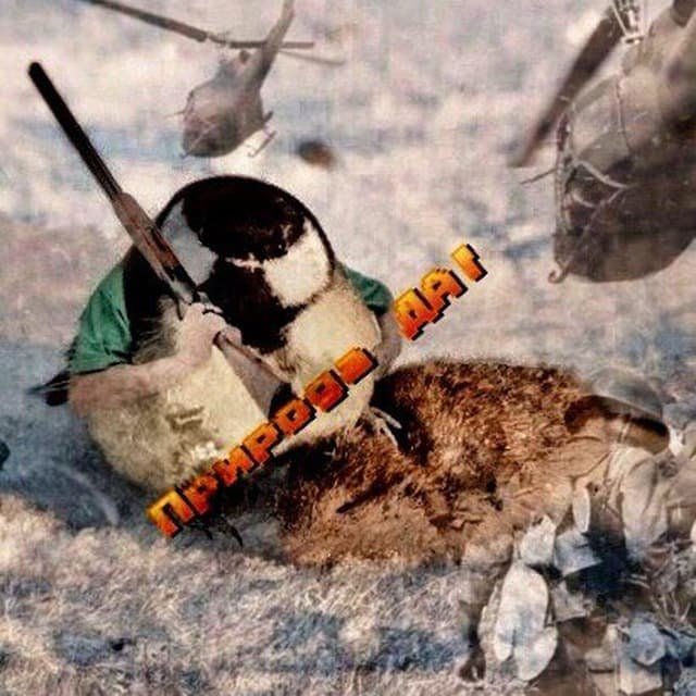 Природа ДА!