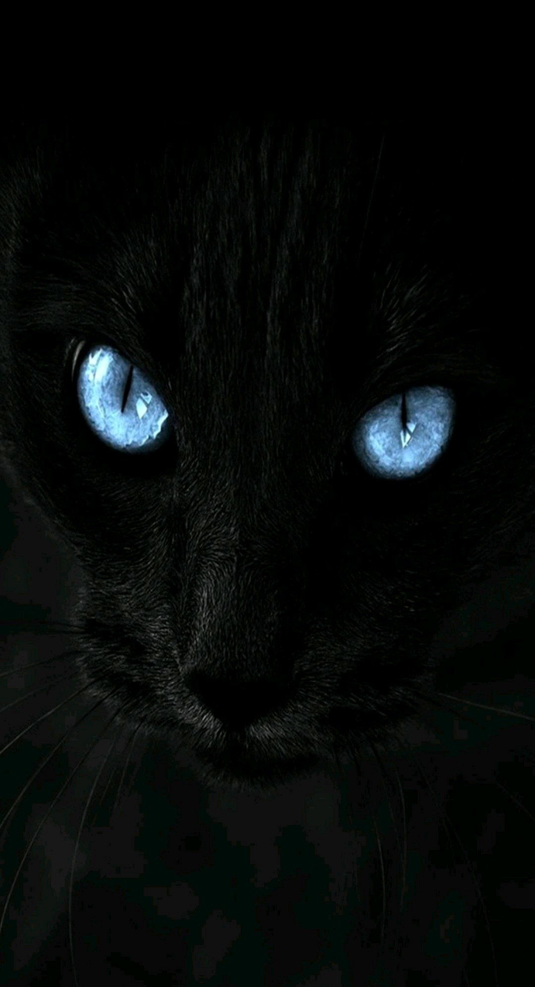 ꧁⭕𝕟𝕝❤︎𝕚𝕟𒊹︎︎︎✅𝐅𝐥𝐢𝐫𝐓♥︎꧂