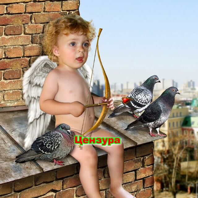 🌼 СЕМЕЙНЫЕ ПАРЫ 🌼