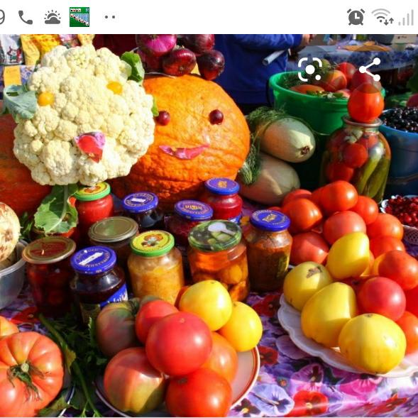 Ярмарка Майкоп