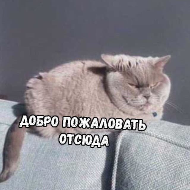 $ как доллар