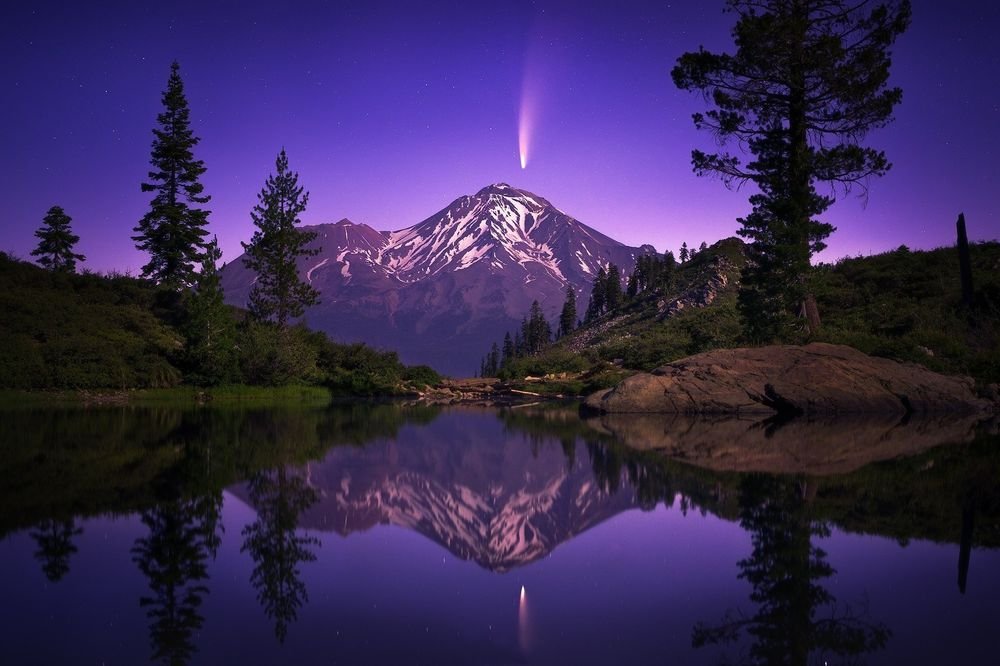 Натуралисты / Naturalistas