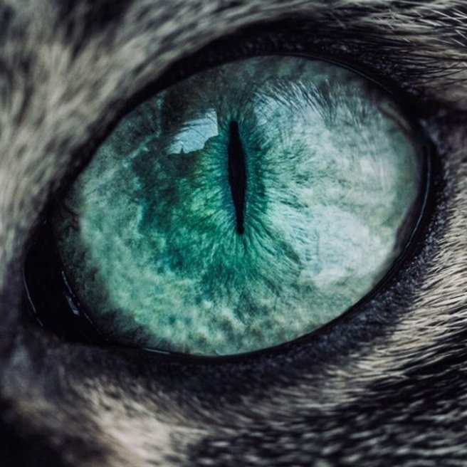 Око Оренбуржья