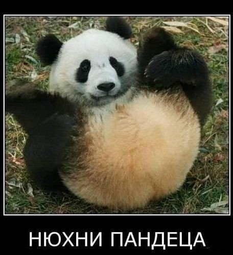 Анекдоты Lite