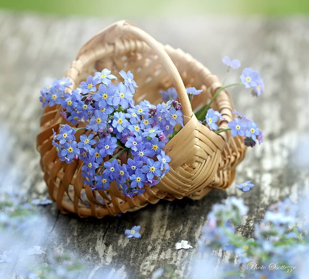 Детские пособия общение