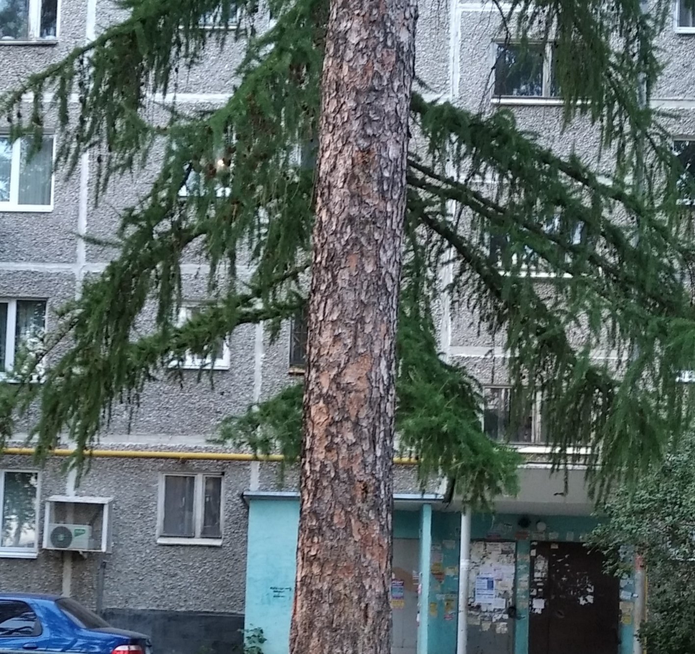 Лига ссылок