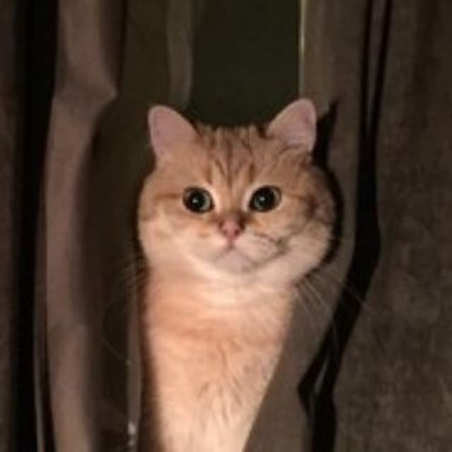 Промокоды, акции и скидки МФО