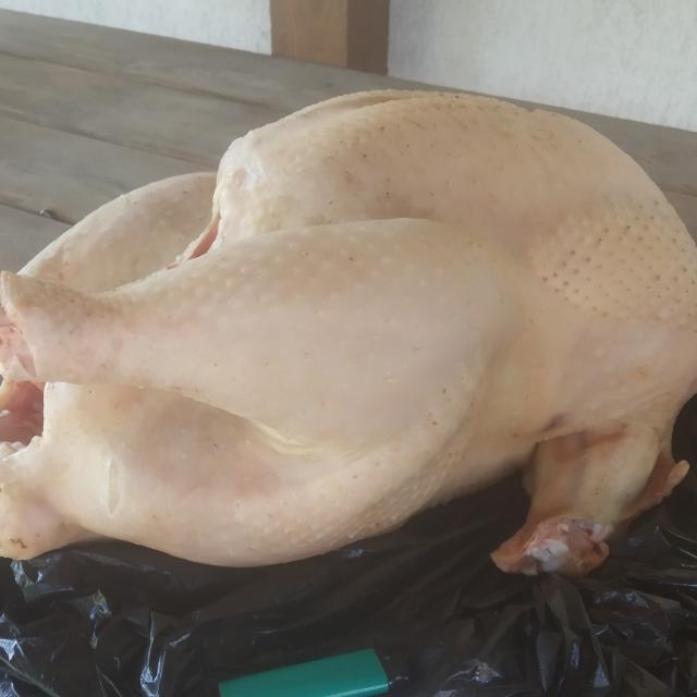 Мясо домашней птицы