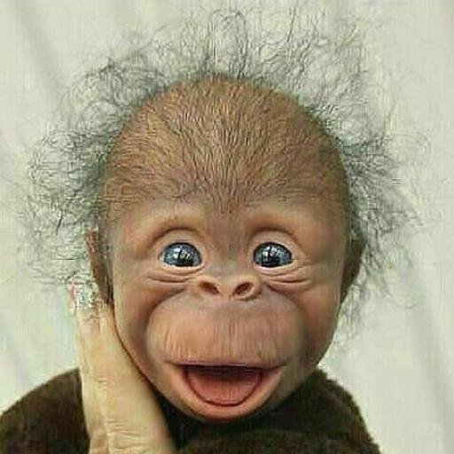 Фабрика юмора