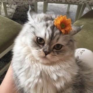 мысли маленького человека