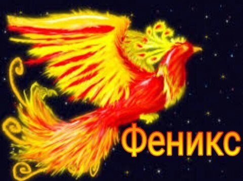 Совместные закупки Челябинск Феникс