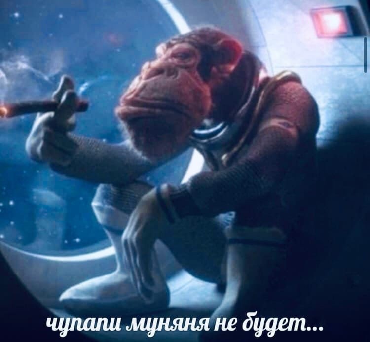 ПОСТИРОНИЯ & КРИНЖУЛЯ