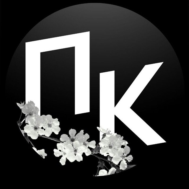 Чат Краснодар (18)+