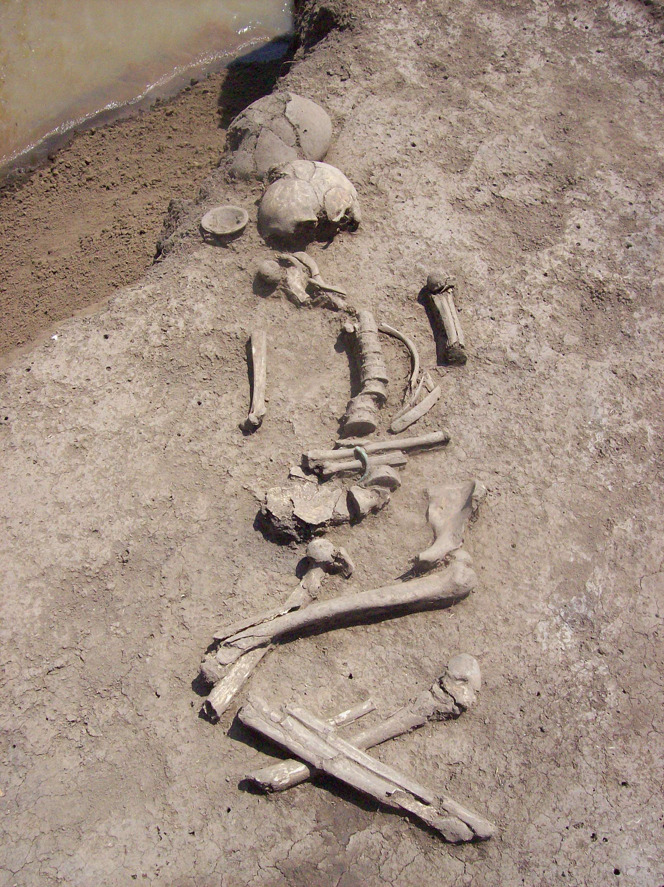 Археология Краснодар