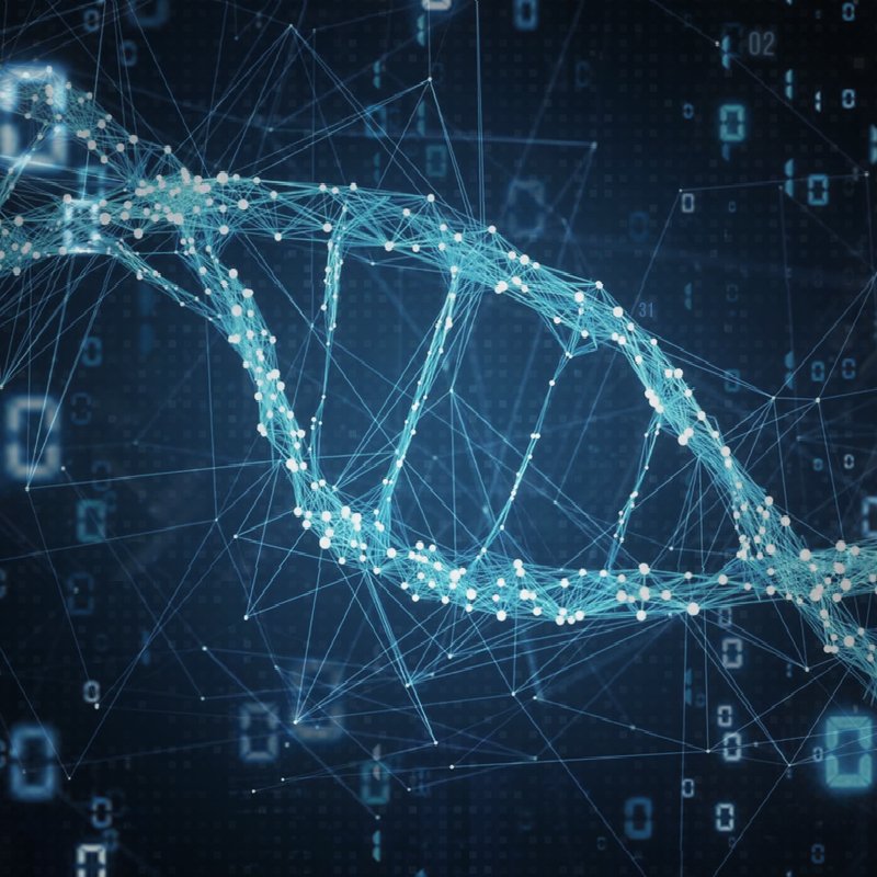 Крипто ДНК Трейдинг