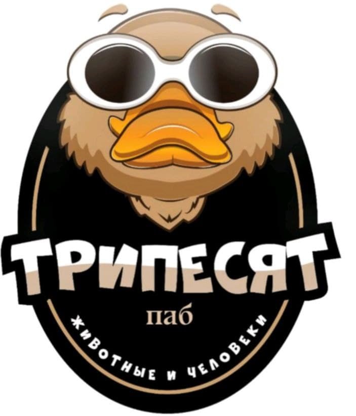 Паб "Трипесят"