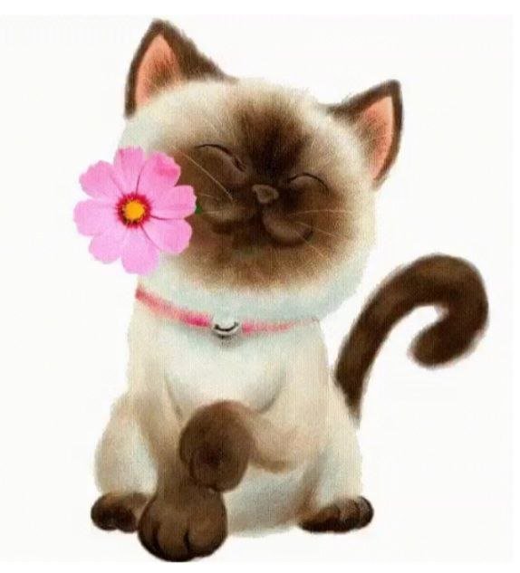 ⲪⲖⲞⲢⲀ Ⳙ ⲪⲀⲨⲎⲀ