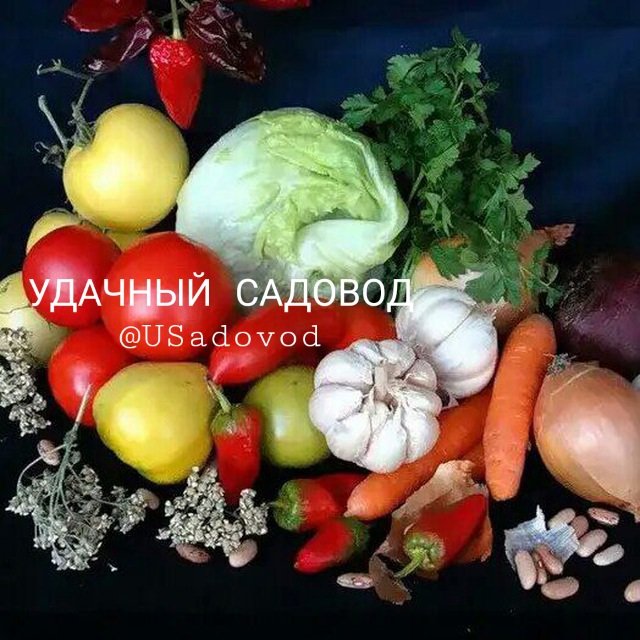 УДАЧНЫЙ САДОВОД