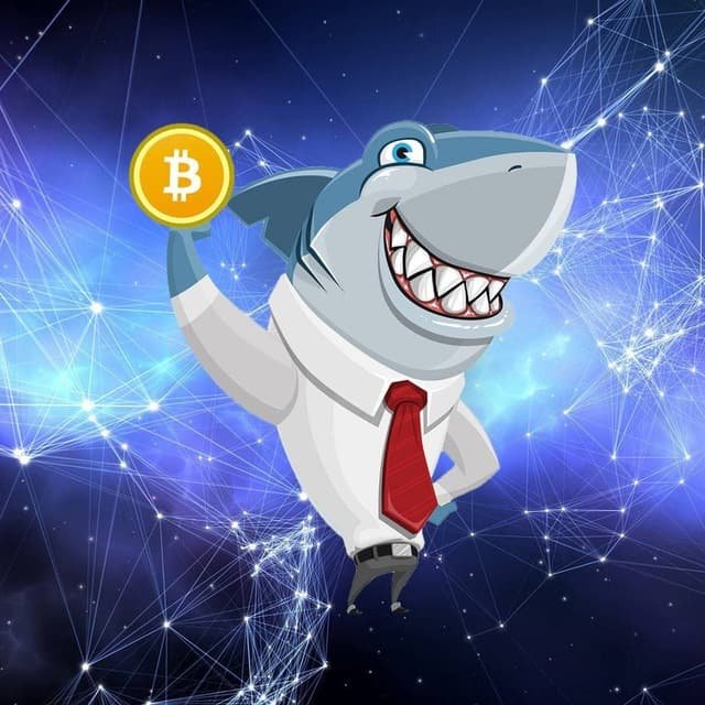 Rocket Shark 🦈 [PRIVATE CHANNEL🔒]