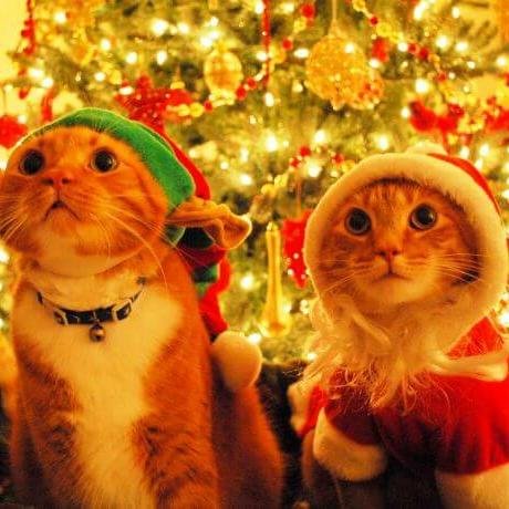 🤗 САМЫЕ🤗 КЛЁВЫЕ 🤗Ребята🤗