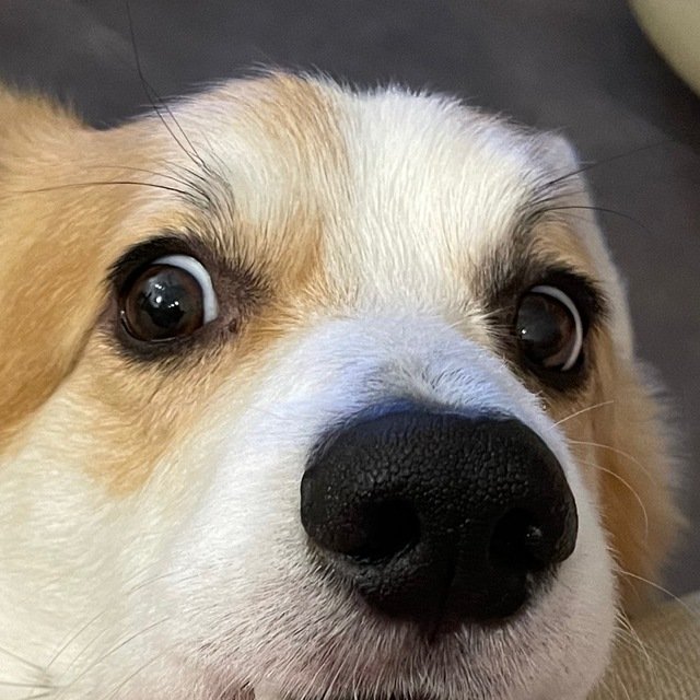 Экологичные продажи