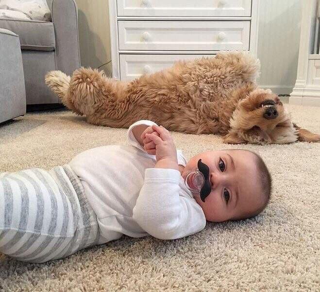 🤡ШУТКИ 😁ОБЩЕНИЕ 💁‍♂️МУЗЫКА 💽